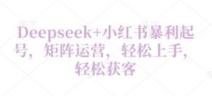 Deepseek+小红书暴利起号，矩阵运营，轻松上手，轻松获客-湘创网