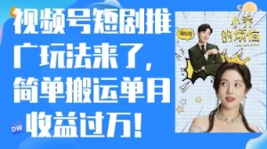 视频号短剧推广最新玩法,简单搬运单月收益过W,小白也能轻松上手-湘创网