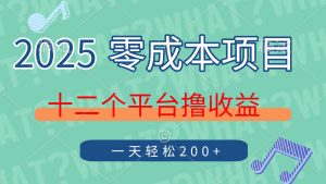 (14302期)2025年零成本项目,十二个平台撸收益,单号一天轻松200+-湘创网