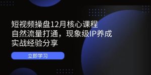 短视频操盘12月核心课程:自然流量打通,现象级IP养成,实战经验分享-湘创网