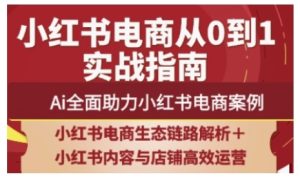 2025小红书电商全链路运营,Ai全面助力小红书电商案例-湘创网