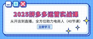 (14259期)2025拼多多运营实战课,从开店到直播,全方位助力电商人(40节课)-湘创网