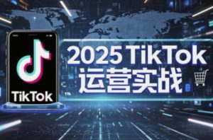 2025TikTok电商运营,掌握TikTok店铺运营核心技巧,实现低成本高转化-湘创网