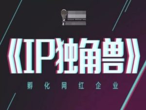 IP独角兽,孵化网红企业,ip教程-湘创网