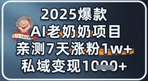 2025爆款 AI 老奶奶项目：亲测 7 天涨粉 1W+，私域变现 1k+-湘创网