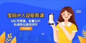 宝妈IP人设矩阵课:ABC号搭建,批量SOP,私域转化高效闭环-湘创网