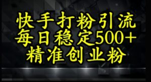 快手精准式打粉引流,每日稳定500+精准创业粉-湘创网