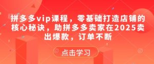 拼多多vip课程，零基础打造店铺的核心秘诀，助拼多多卖家在2025卖出爆款，订单不断-湘创网