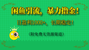 (14647期)闲鱼引流,暴力撸金,日盈利1000+,长期稳定!(附免费无货源渠道)-湘创网