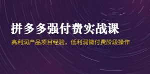 (14874期)拼多多强付费实战课-44期,高利润产品项目经验,低利润微付费阶段操作-湘创网