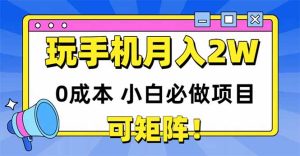 (14879期)玩玩手机月入20000+,0成本小白必做项目,可矩阵-湘创网
