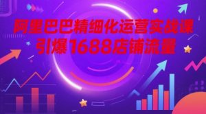 阿里巴巴精细化运营实战课,引爆1688店铺流量-湘创网