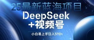 25最新蓝海项目DeepSeek+视频号,小白易上手日入几张-湘创网