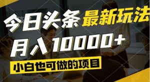 (14675期)今日头条最新风口,视频掘金,小白也可月入过万,可以矩阵操作-湘创网