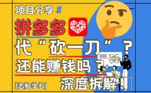 【2025最新】拼多多代坎助力项目深度拆解:还能挣钱吗?全流程玩法-湘创网