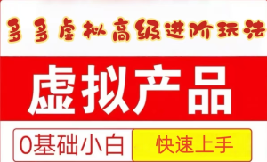 25拼多多虚拟资料高级进阶玩法,小白也能快速上手,保姆级教程-湘创网