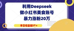 利用Deepseek做小红书美食账号,暴力涨粉20W,单日收益破1K+-湘创网