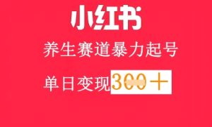 小红书养生赛道,暴力起号,轻松日入3张+-湘创网