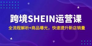 跨境SHEIN运营课，全流程解析+商品曝光，快速提升新店销量-湘创网