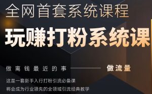 2025行业首套全网全域打粉系统神课,做流量做离钱最近的事,一套新手入行打粉引流必备课-湘创网