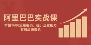 阿里巴巴实战课:掌握1688流量密码,提升运营能力,实现店铺增长-湘创网