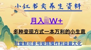 在小红书上卖养生资料，月入1w+，多种变现方式一本万利的小生意-湘创网