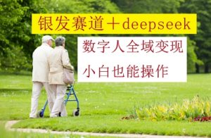 银发赛道+deepseek数字人全域变现，小白也能操作-湘创网