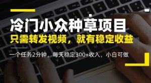 冷门小众种草项目，只需转发视频，每天就有稳定收益，无门槛，每天稳定3张+收入，小白可做-湘创网