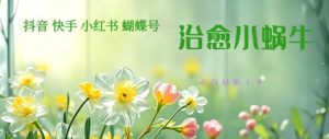 疯狂火爆!抖音,小红书,视频号蜗牛治愈的视频,轻松制作+快速拿到结果-湘创网