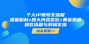 个人IP账号全流程:流量机制+四大内容定位+黄金思维, 爆款选题与剪辑实操-湘创网