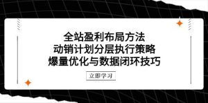全站盈利布局方法:动销计划分层执行策略,爆量优化与数据闭环技巧-湘创网
