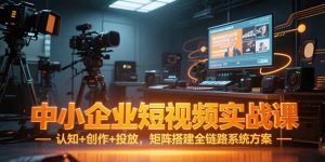 (15249期)中小企业短视频实战课,认知+创作+投放,矩阵搭建全链路系统方案-湘创网