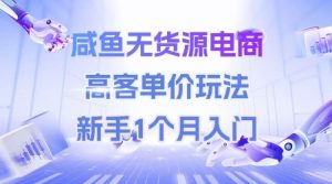 咸鱼无货源电商,高客单价玩法,新手1个月入门-湘创网