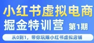 小红书虚拟电商掘金特训营第1期,从0到1,带你玩转小红书虚拟店铺-湘创网