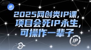 2025网创类IP课,项目会死IP永生,可操作一辈子-湘创网