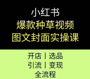 小红书爆款种草视频图文封面实操课,开店、选品、引流、变现全流程-湘创网