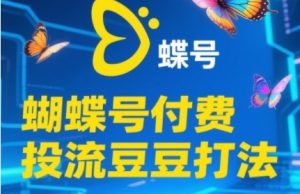 2025蝴蝶号付费投流豆豆打法,助新手快速掌握付费流量撬动自然流的核心玩法-湘创网