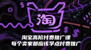 淘宝高阶付费推广课,每个卖家都应该学点付费推广-湘创网