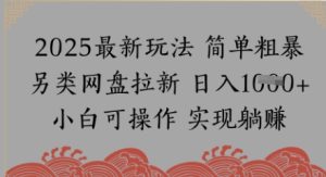 网盘拉新,冷门玩法,纯捡钱月入8k,0基础小白也能做-湘创网