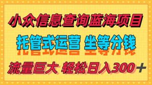 (15216期)稳定日入300+,小众信息查询蓝海项目,全程懒人式托管,解放你的时间-湘创网