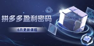 (15005期)拼多多盈利密码:从烧钱推广到印钞模型,底层逻辑重构指南(6月更新)-湘创网