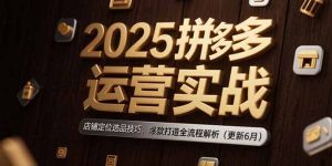 (15235期)2025拼多多运营实战:店铺定位选品技巧,爆款打造全流程解析(更新6月)-湘创网