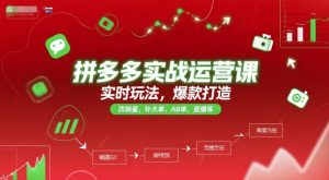 拼多多实战运营课,实时玩法,爆款打造,改销量,补大单,AB单,直播等(更新2025月)-湘创网