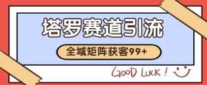 小红书某音塔罗赛道引流获客 自热矩阵日引200+【揭秘】-湘创网