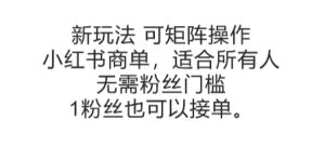 可矩阵操作,小红书商单新玩法,适合所有人,无需粉丝门槛,1粉丝也可以接单-湘创网
