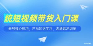 (15091期)短视频带货入门课,养号核心技巧,产品知识学习,沟通话术训练-湘创网