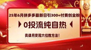 (14989期)25年6月拼多多最新日引300+付费创业粉,0投流纯自热 卖课月变现六位数方法-湘创网