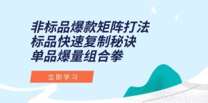 (15068期)非标品爆款矩阵打法,标品快速复制秘诀,单品爆量组合拳-湘创网
