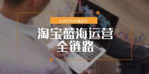 (15160期)淘宝蓝海运营全链路,从选品到流量变现,小类目突围完整方案-湘创网