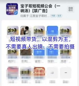 宝子哥头部团队短视频带货，以混剪为主，不需要真人出镜，不需要拍摄【更新】-湘创网